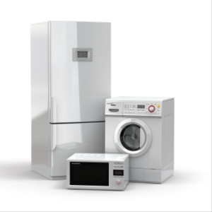 Braselton appliance services